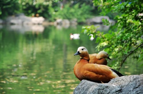 北京行李寄存
