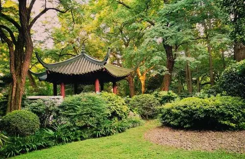 上海行李寄存