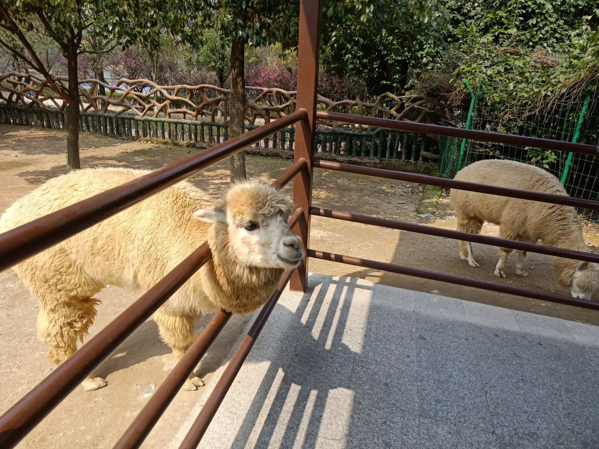 杭州行李寄存