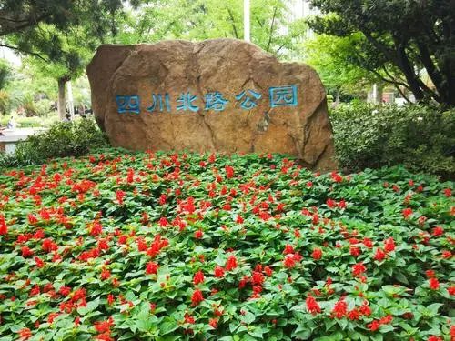 上海行李寄存