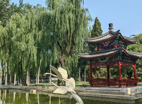 北京行李寄存