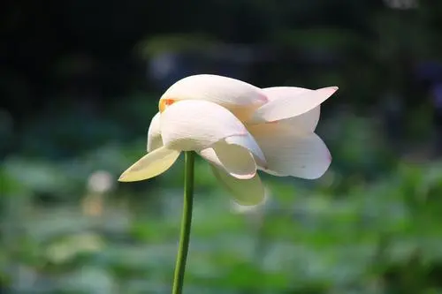 上海行李寄存