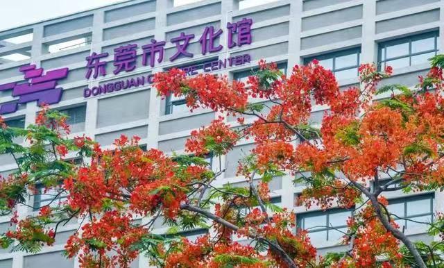 东莞行李寄存
