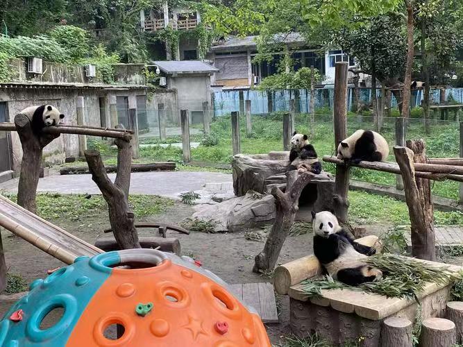 重庆行李寄存