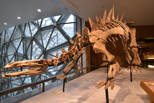 上海行李寄存
