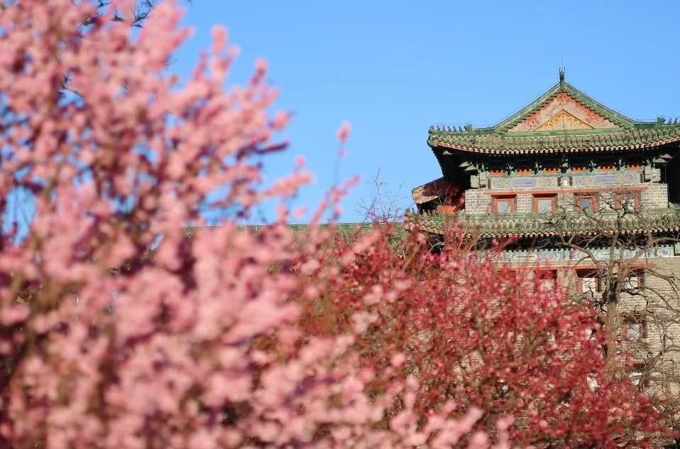 北京行李寄存
