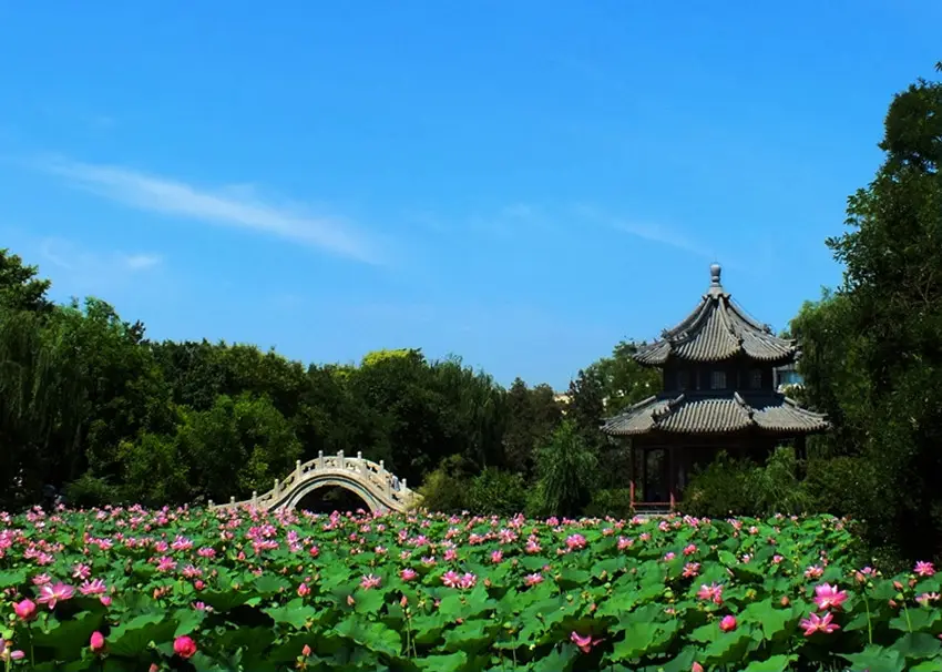 保定行李寄存