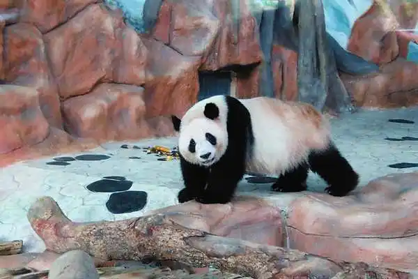 南宁行李寄存