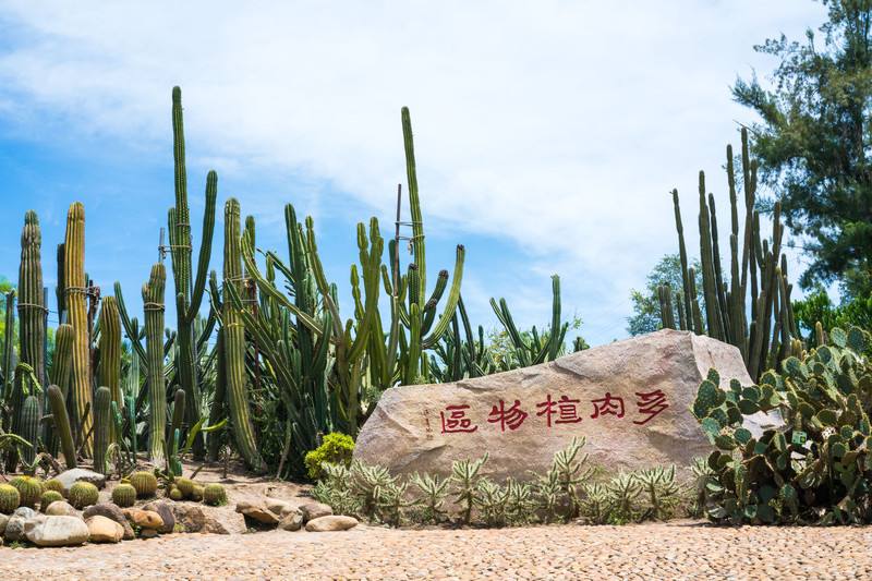 厦门行李寄存