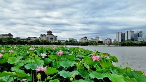 北京行李寄存