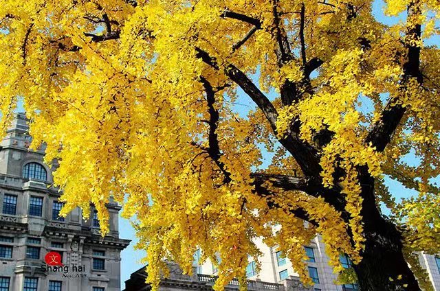 上海行李寄存