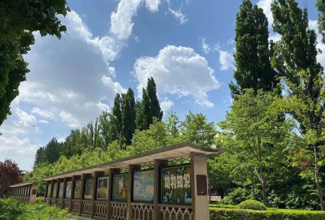 北京行李寄存