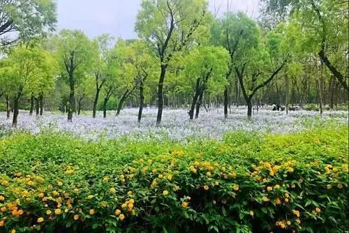 北京行李寄存
