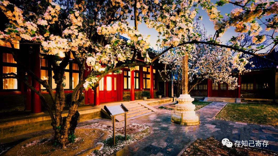 北京行李寄存