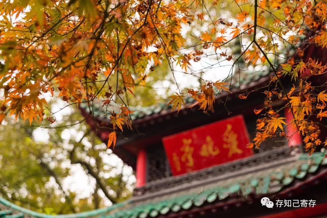 长沙行李寄存