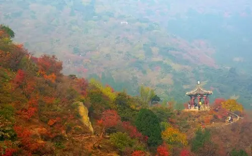 北京行李寄存