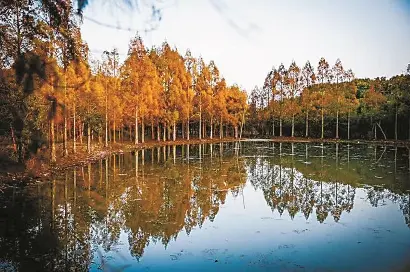 上海行李寄存