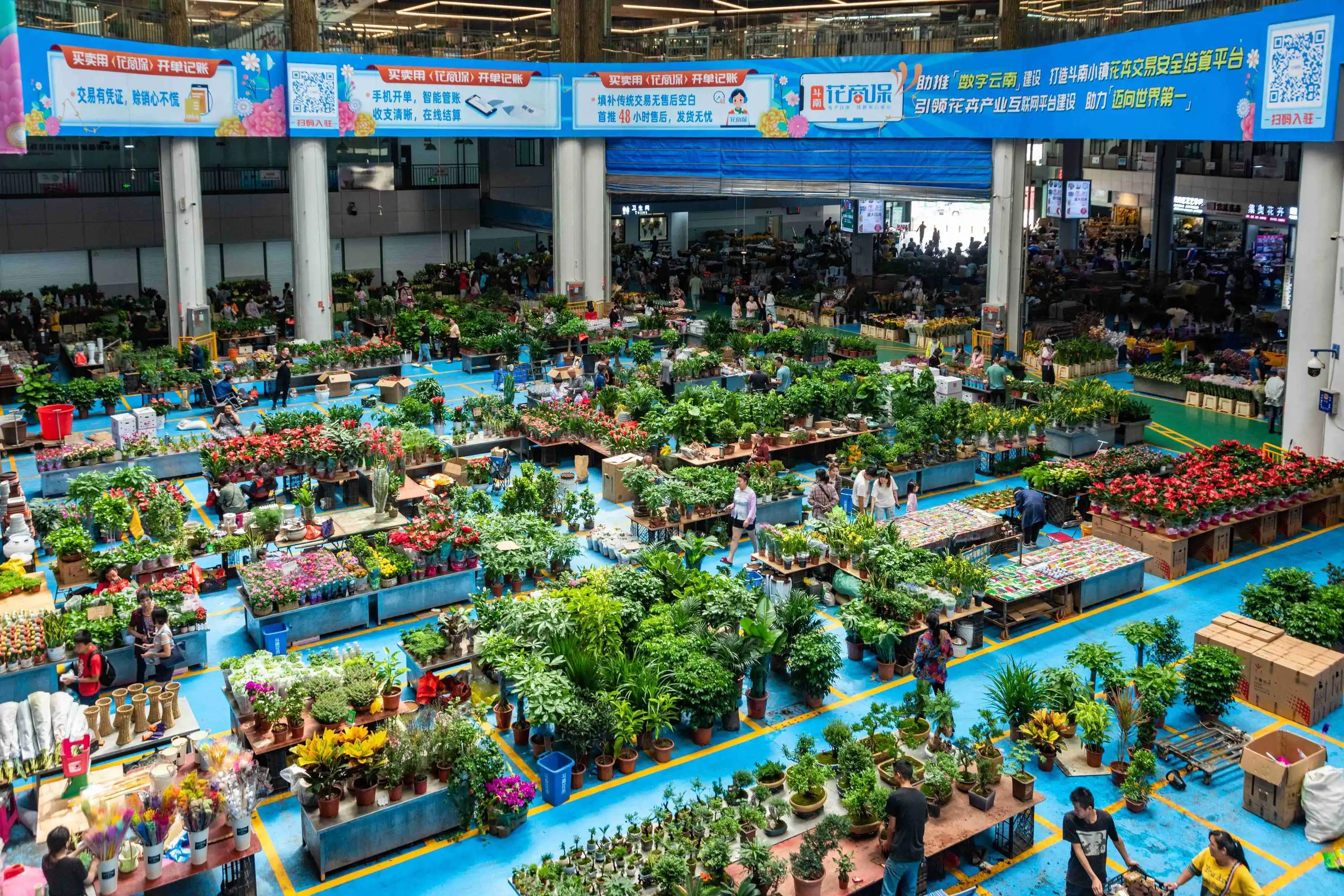 昆明斗南花市哪里有行李寄存的地方?斗南花卉市场行李寄存怎么收费?