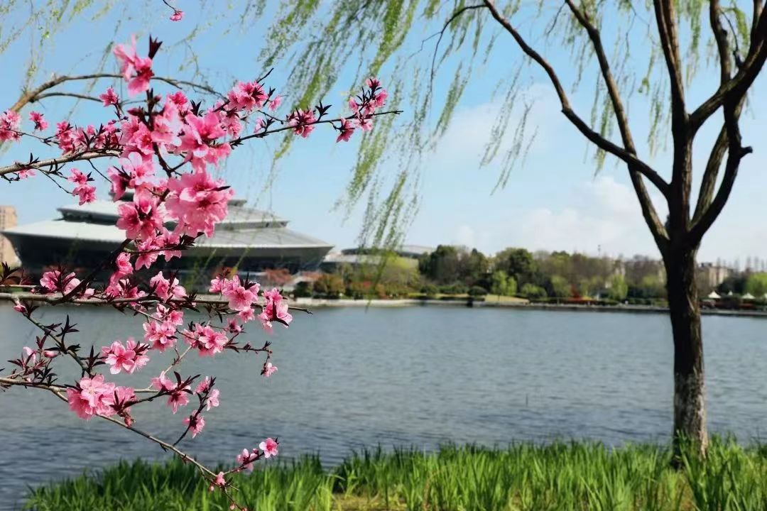 杭州行李寄存