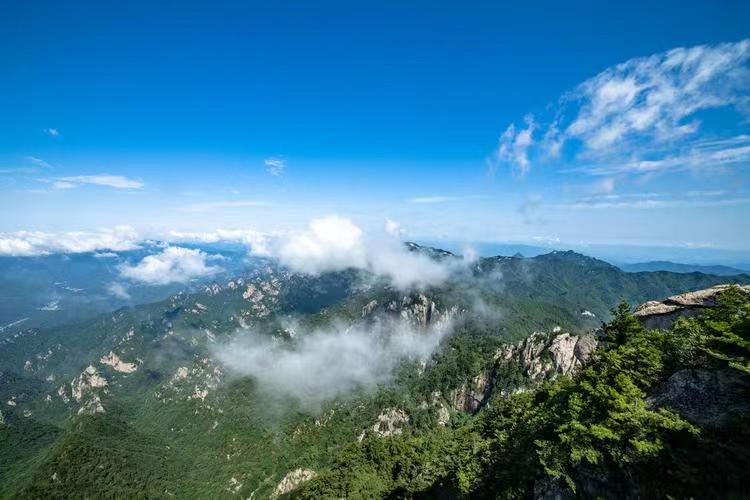 洛阳行李寄存