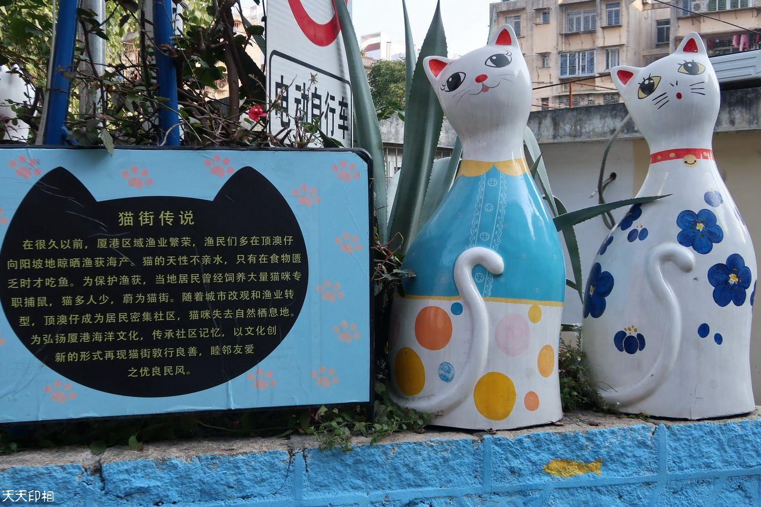 厦门行李寄存