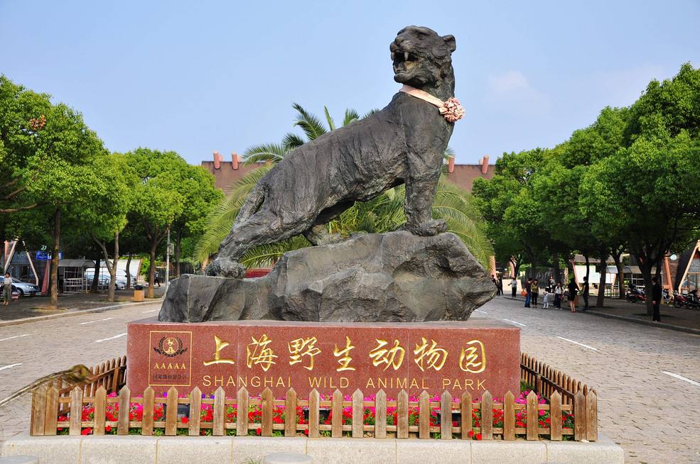 xpTSLBYsQgEmJo4HPr08.jpg 上海行李寄存